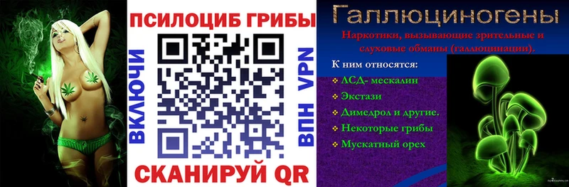 Псилоцибиновые грибы GOLDEN TEACHER Усолье
